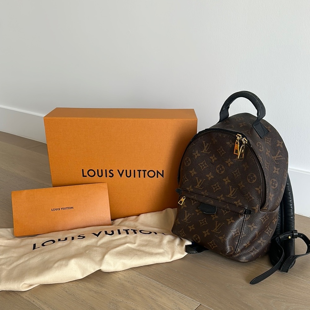 Louis Vuitton Palm Springs MM Backpack